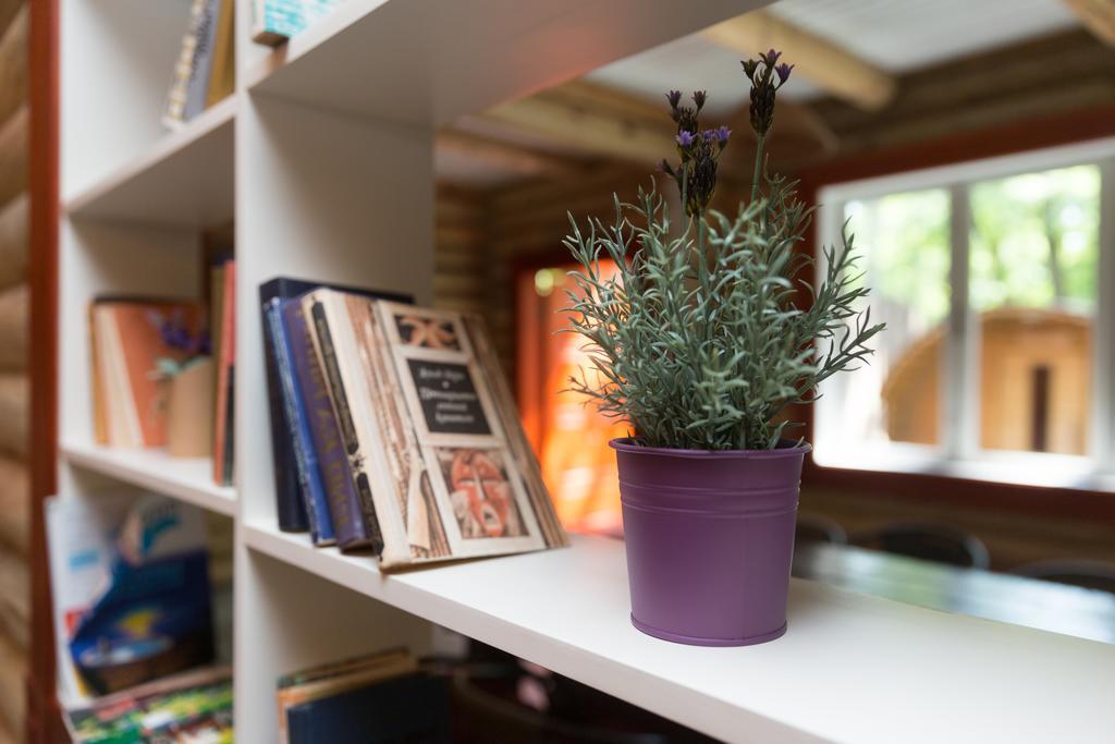גומל Belaya Dacha Apartment מראה חיצוני תמונה